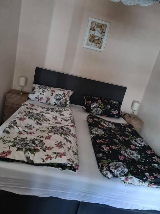 Gemuetliche Ferienwohnung Am Waldrand Elgersburg Extérieur photo